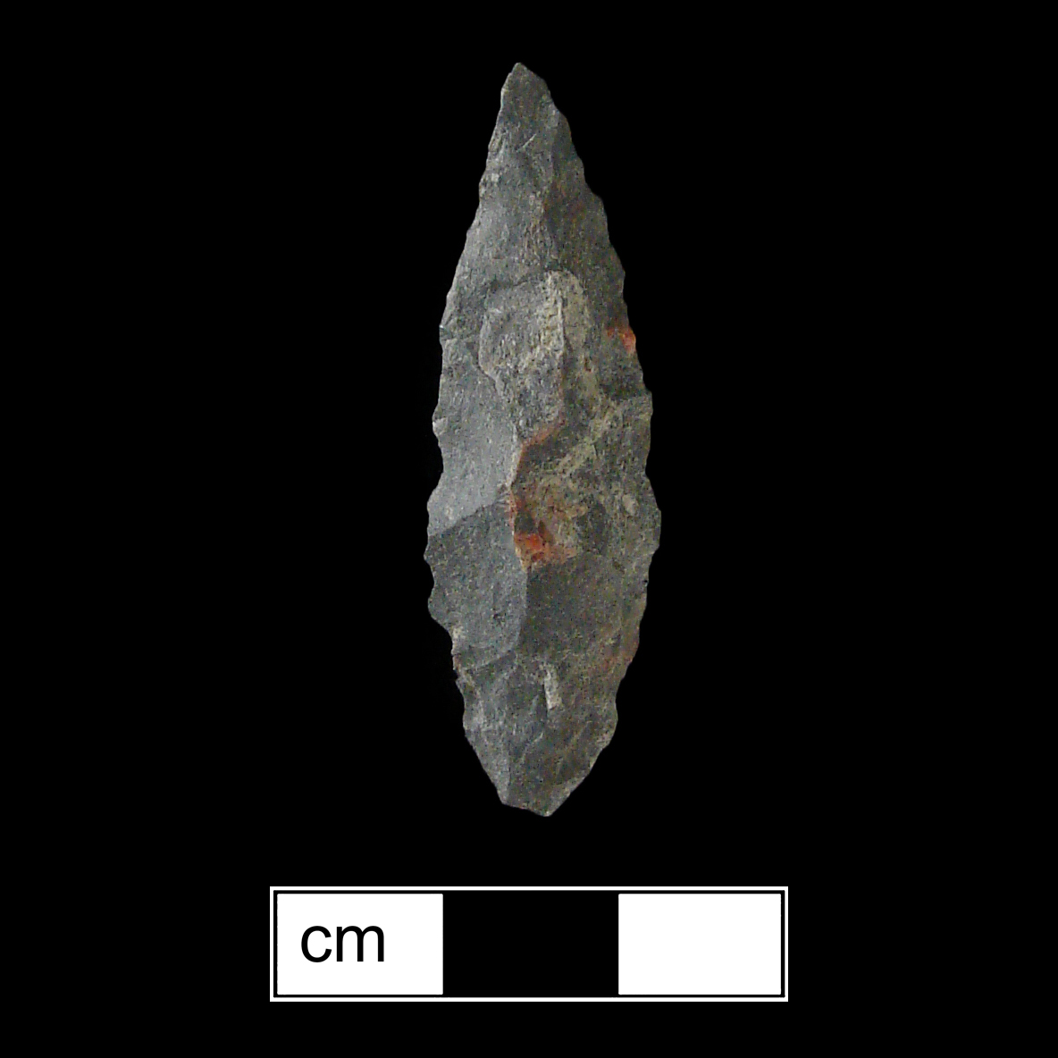 Image of stone projectile point made of Rhyolite, Contracting Stem shape, with a Contracting stem, Excurvate blade, and Convex base shape. Piscataway type.