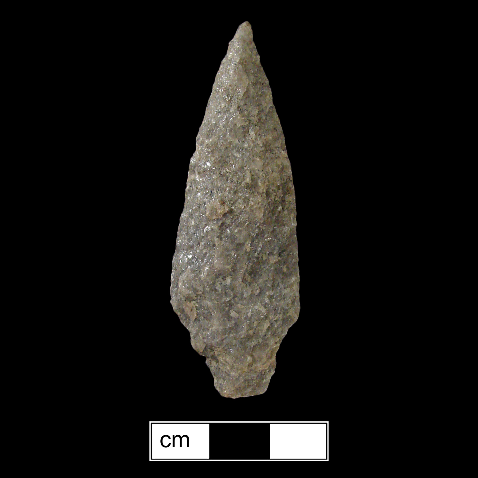 Image of stone projectile point made of Quartzite, Contracting Stem shape, with a Contracting stem, Excurvate blade, and Convex base shape. Poplar Island type.