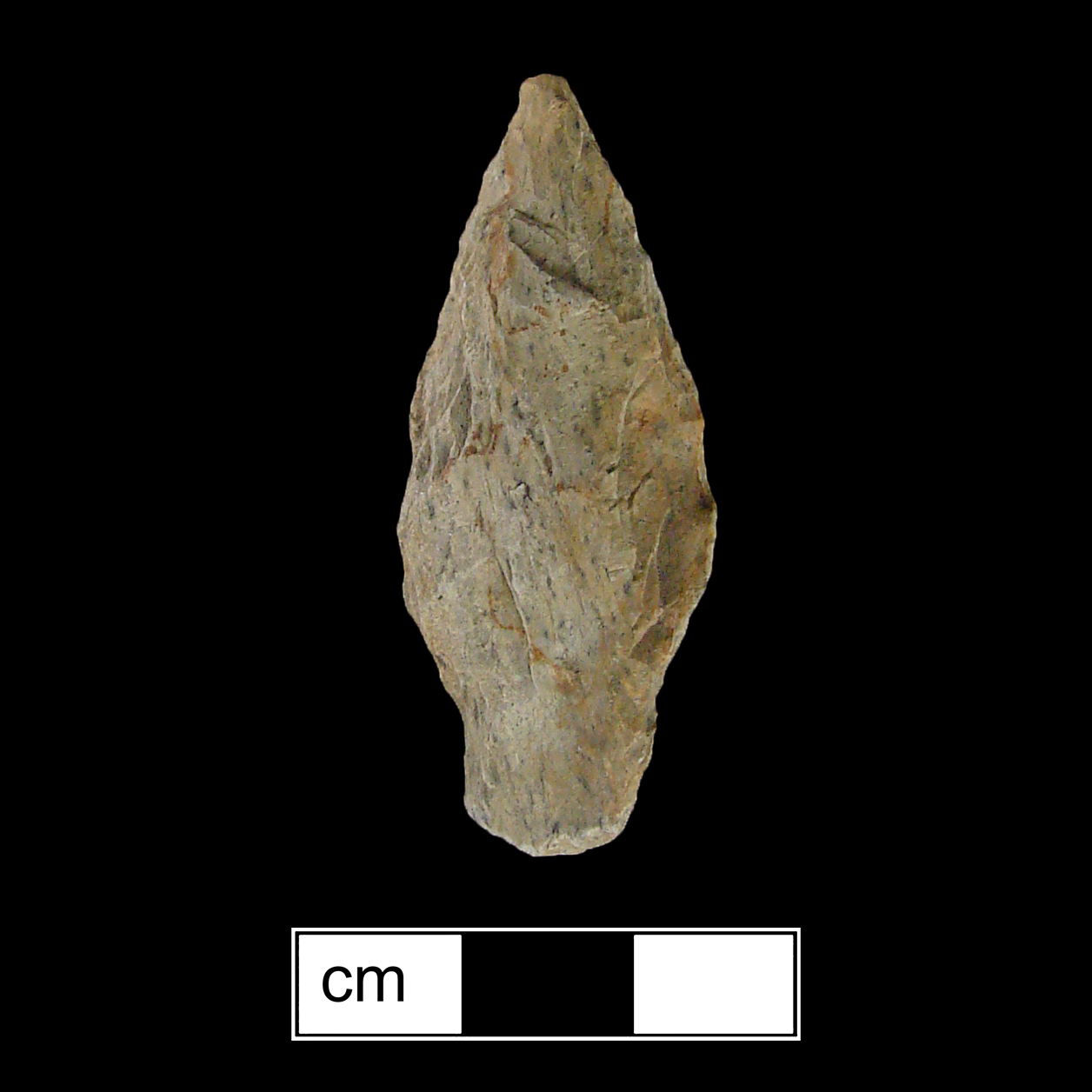 Image of stone projectile point made of Rhyolite, Contracting Stem shape, with a Contracting stem, Excurvate blade, and Convex base shape. Poplar Island type.
