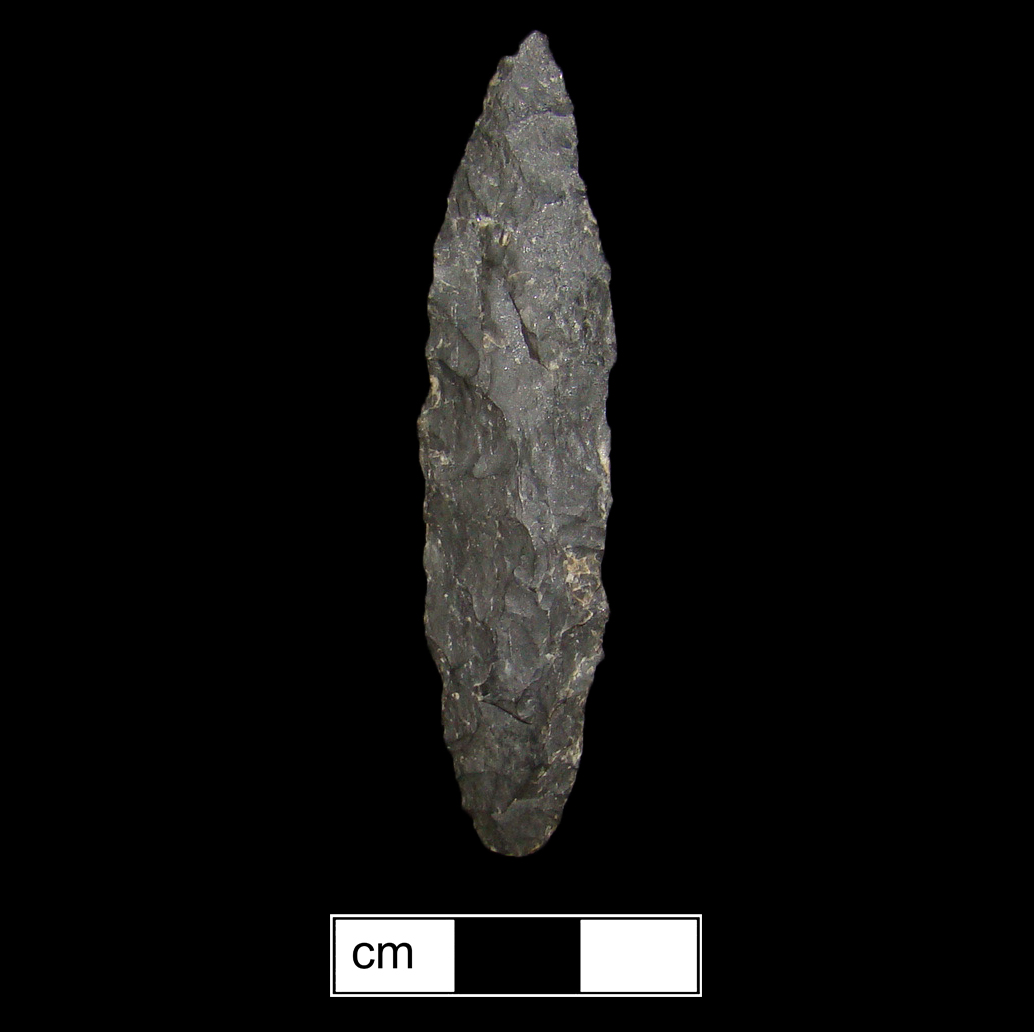Image of stone projectile point made of Chert, Contracting Stem shape, with a Contracting stem, Excurvate blade, and Convex base shape. Poplar Island type.