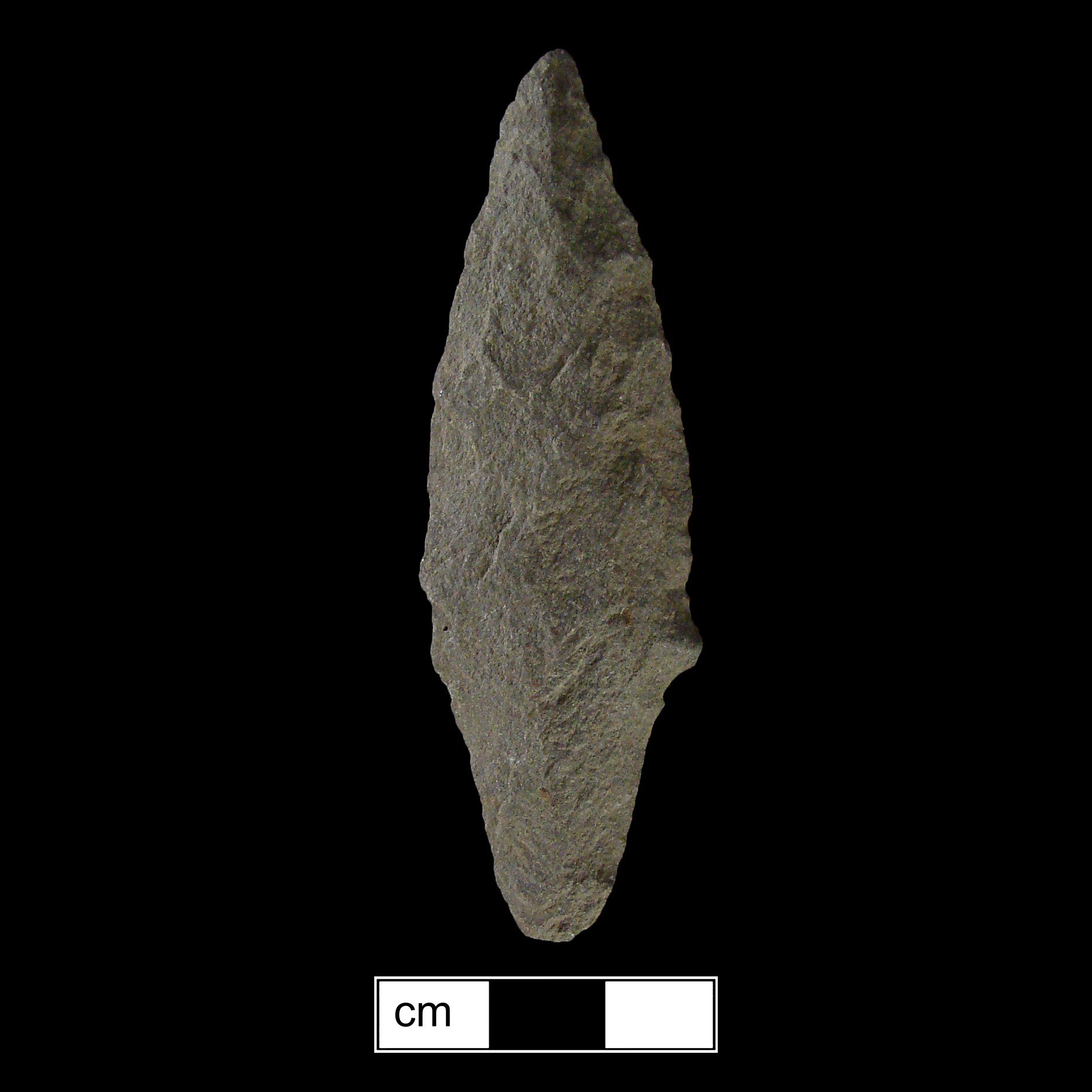 Image of stone projectile point made of Rhyolite/Argillite, Contracting Stem shape, with a Contracting stem, Excurvate blade, and Convex base shape. Poplar Island type.