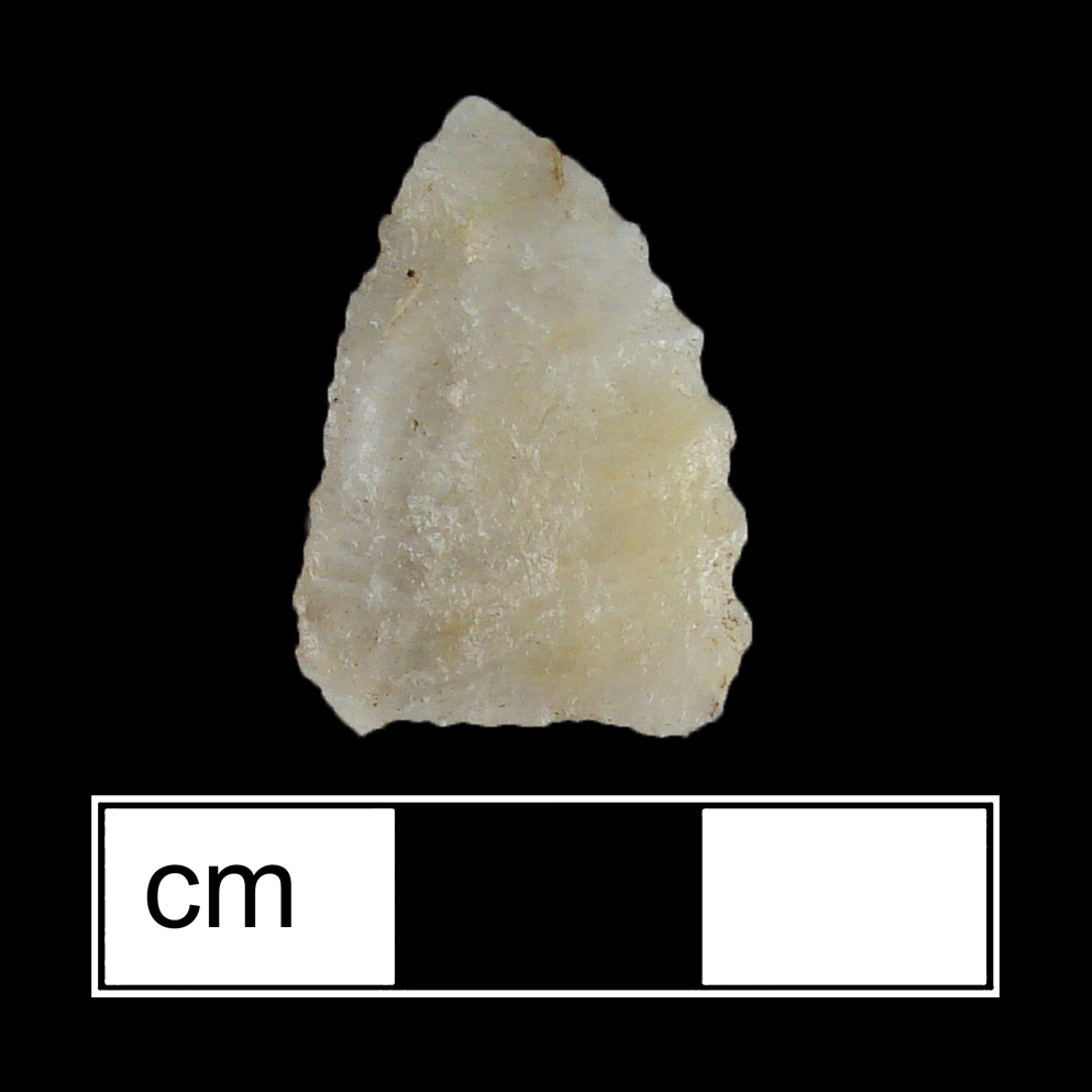 Image of stone projectile point made of Quartz, Triangular shape, with a N/A stem, Excurvate blade, and Straight base shape. Potomac type.