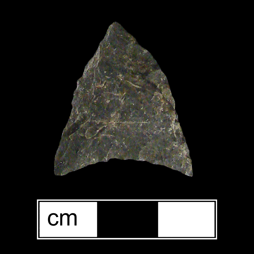 Image of stone projectile point made of Mottled Rhyolite, Triangular shape, with a N/A stem, Excurvate blade, and Concave base shape. Potomac type.