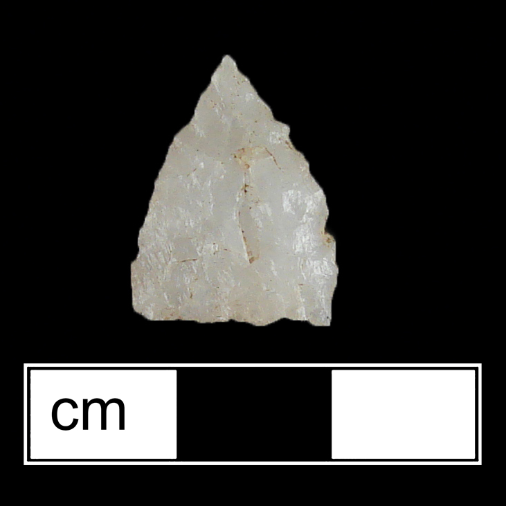 Image of stone projectile point made of Quartz, Triangular shape, with a N/A stem, Excurvate blade, and Straight base shape. Potomac type.