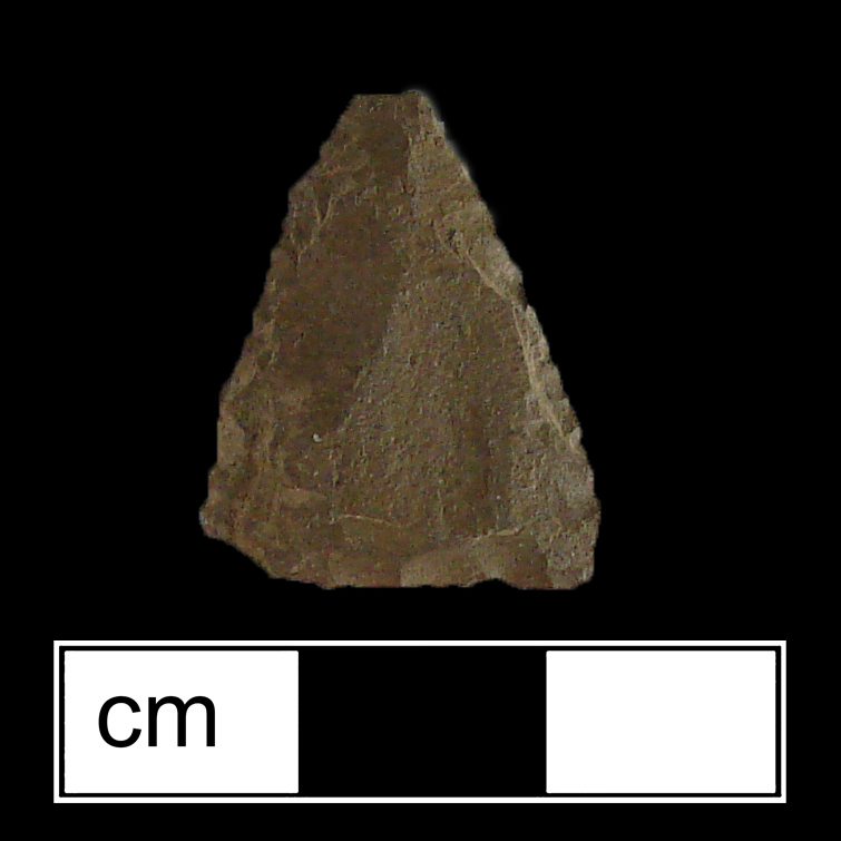 Image of stone projectile point made of Jasper, Triangular shape, with a N/A stem, Excurvate blade, and Straight base shape. Potomac type.