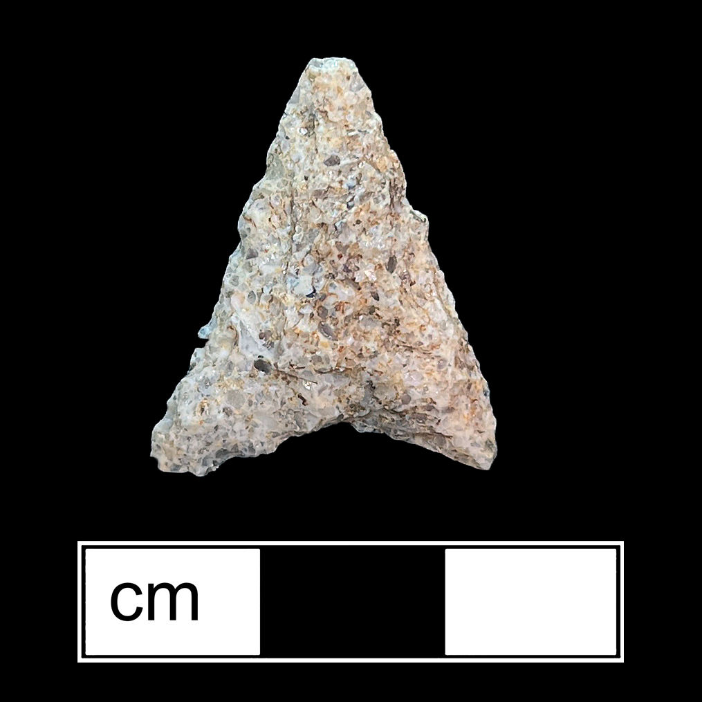 Image of stone projectile point made of Quartz, Triangular shape, with a N/A stem, Straight blade, and Concave base shape. Potomac type.