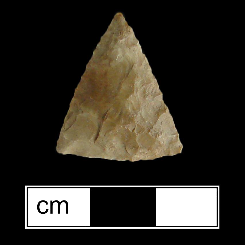 Image of stone projectile point made of Jasper, Triangular shape, with a N/A stem, Straight blade, and Straight base shape. Potomac type.