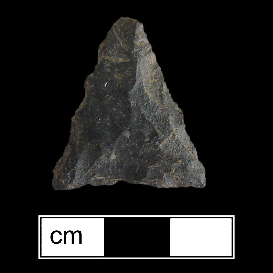 Image of stone projectile point made of Rhyolite, Triangular shape, with a N/A stem, Straight blade, and Straight base shape. Potomac type.