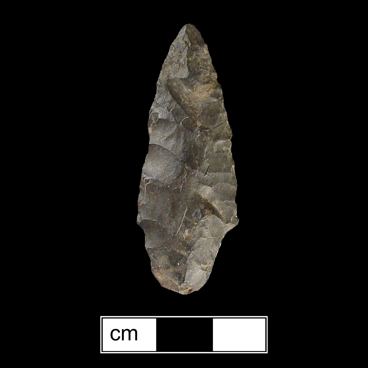 Image of stone projectile point made of Chert, Contracting Stem shape, with a Contracting stem, Excurvate blade, and Convex base shape. Rossville type.