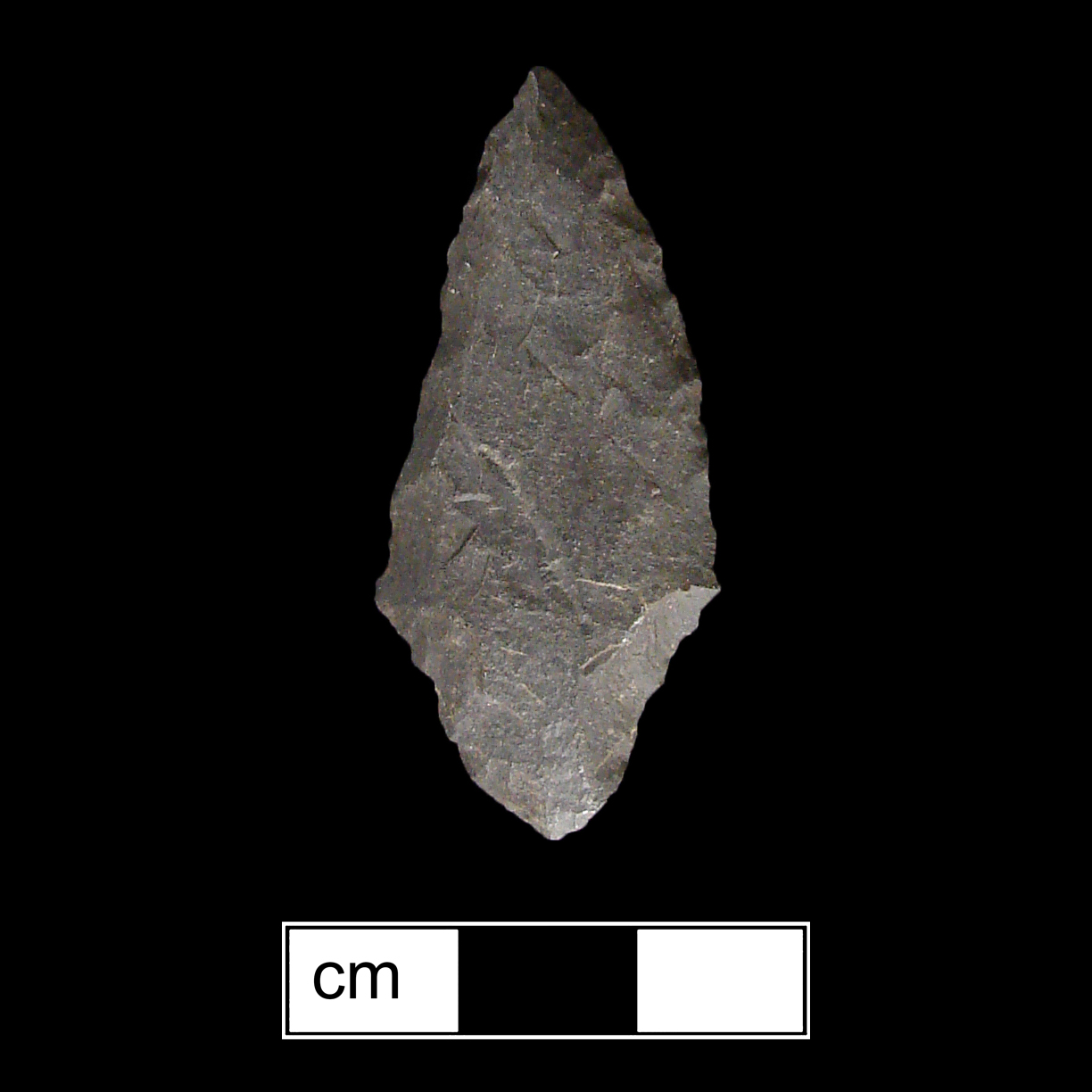 Image of stone projectile point made of Rhyolite, Contracting Stem shape, with a Contracting stem, Excurvate blade, and Convex base shape. Rossville type.