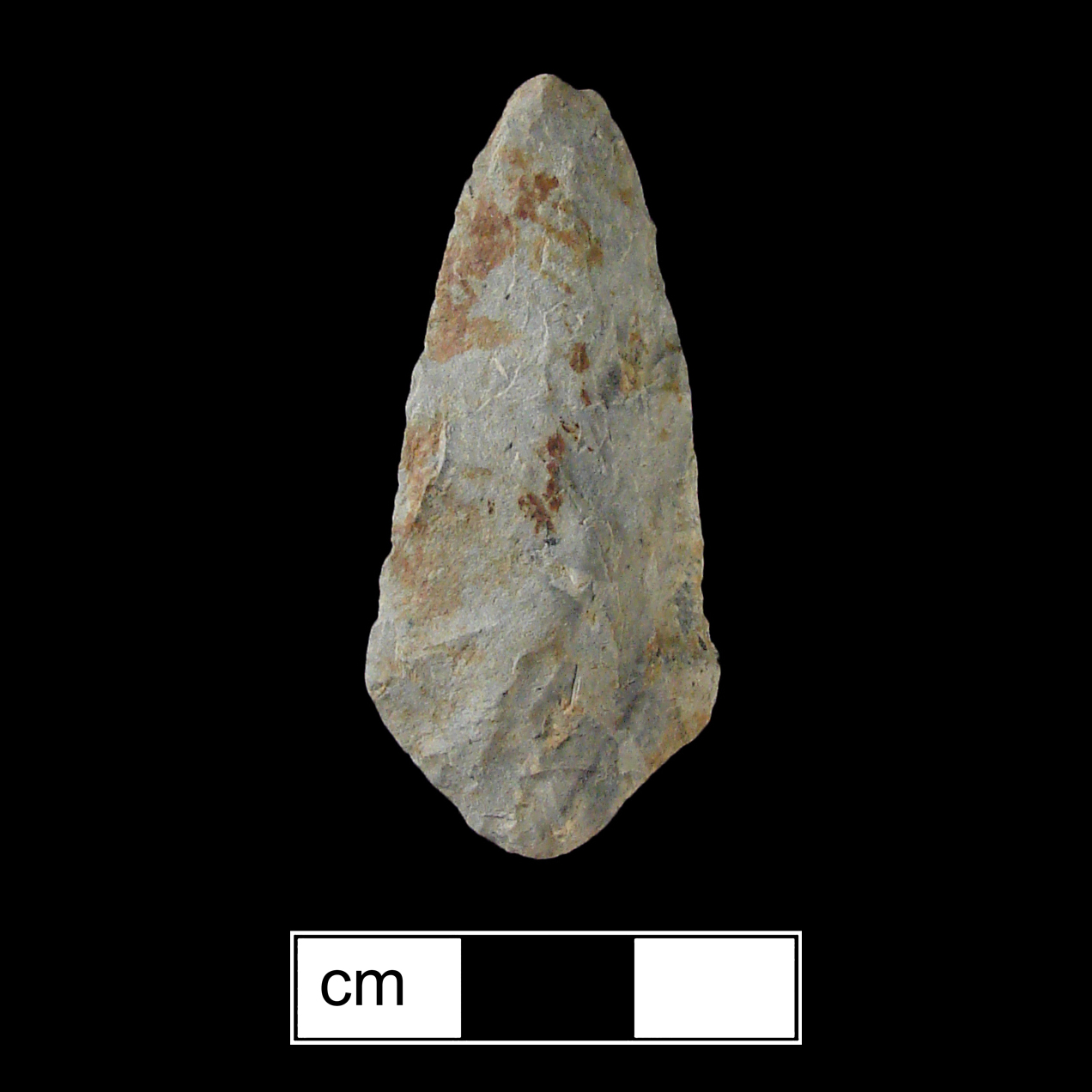 Image of stone projectile point made of Argillite, Contracting Stem shape, with a Contracting stem, Excurvate blade, and Convex base shape. Rossville type.
