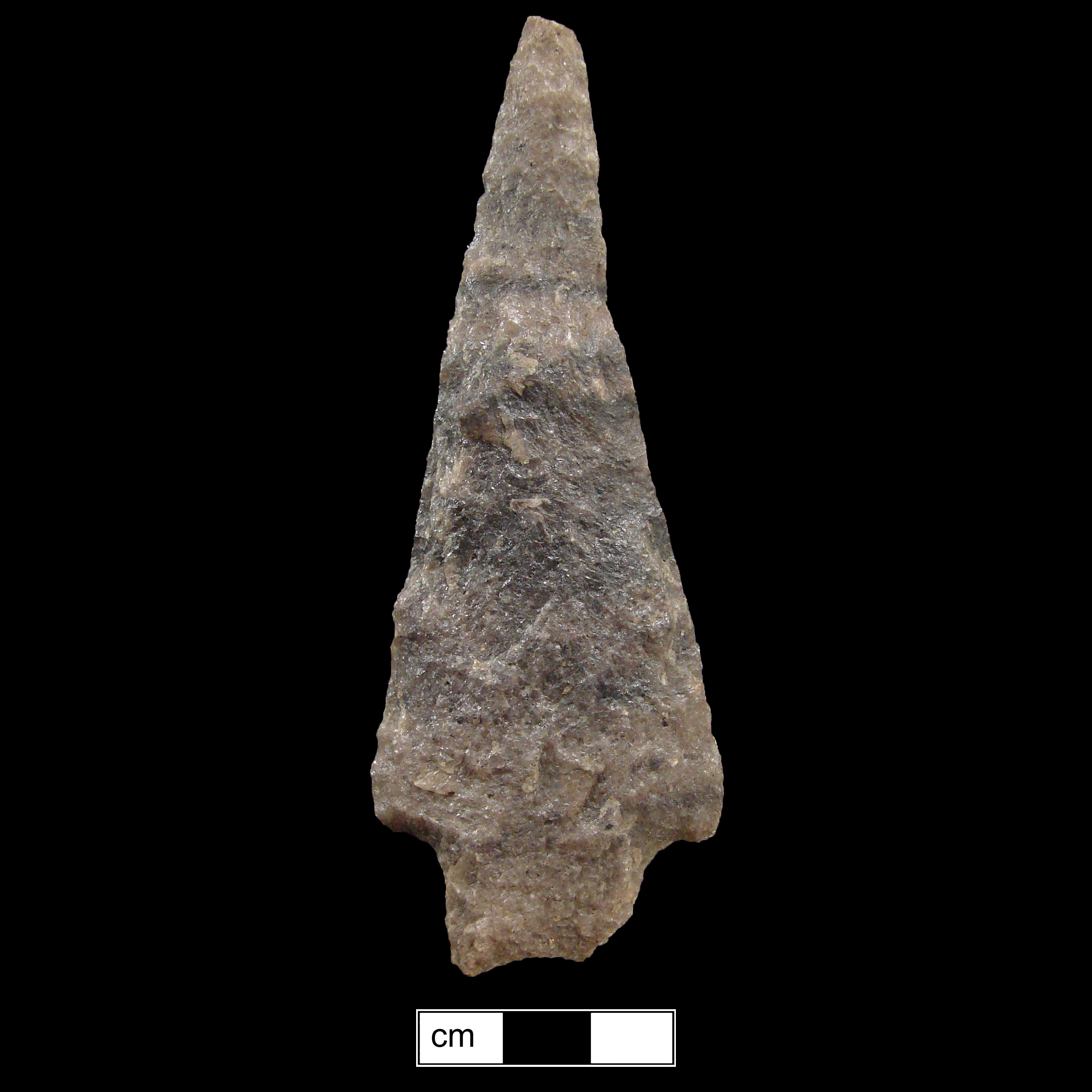 Image of stone projectile point made of Quartzite, Stemmed shape, with a Straight stem, Straight blade, and Concave base shape. Savannah River type.