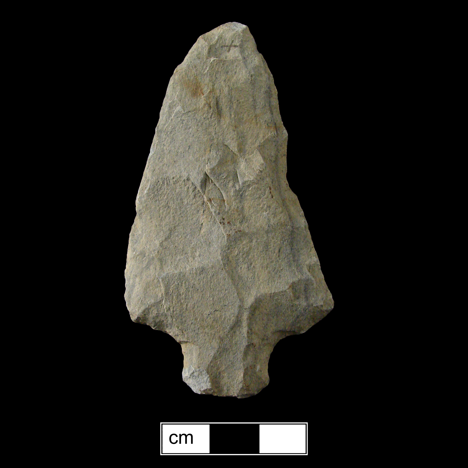 Image of stone projectile point made of Argillite, Stemmed shape, with a Straight stem, Excurvate blade, and Straight base shape. Savannah River type.