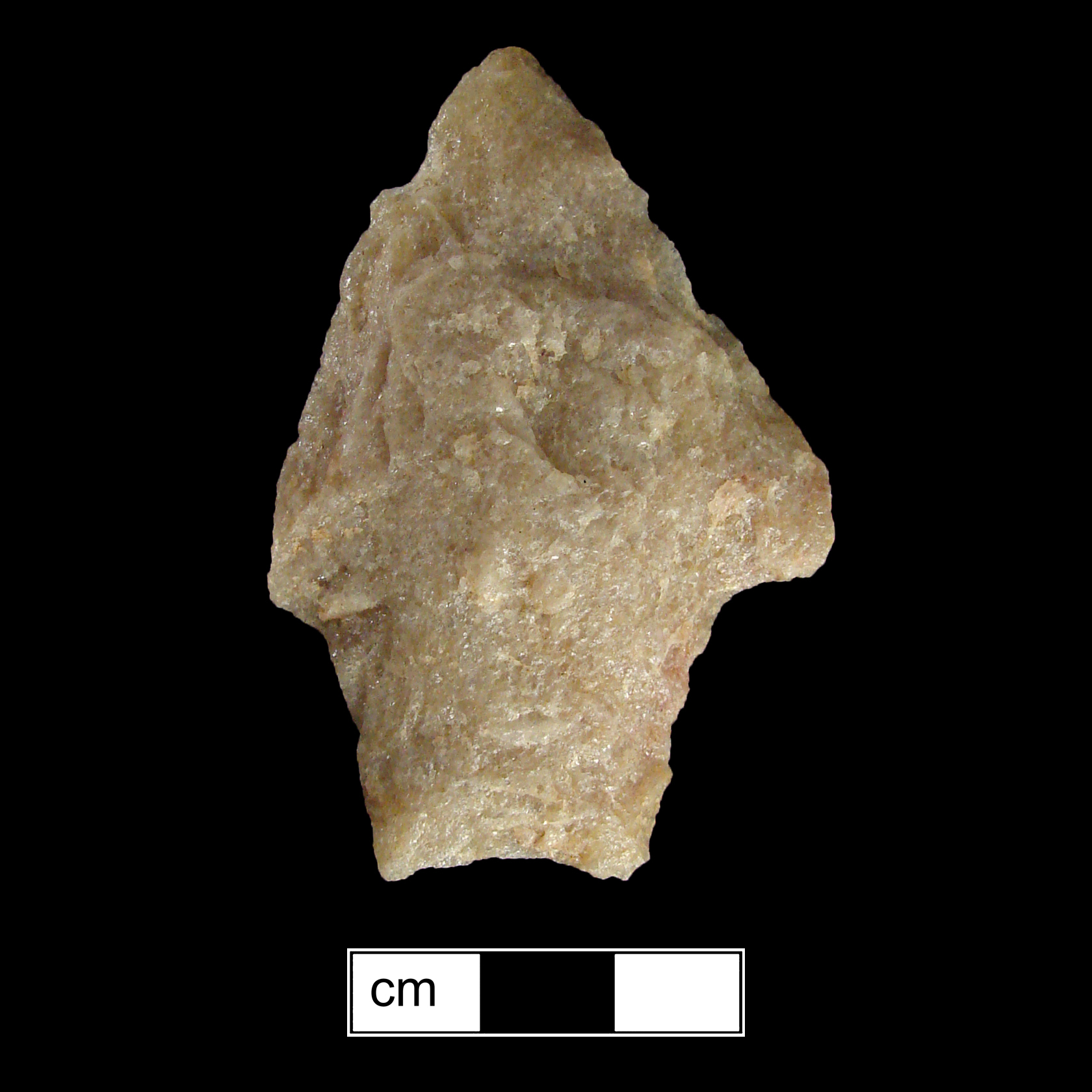 Image of stone projectile point made of Quartzite, Stemmed shape, with a Contracting stem, Excurvate blade, and Concave base shape. Savannah River type.