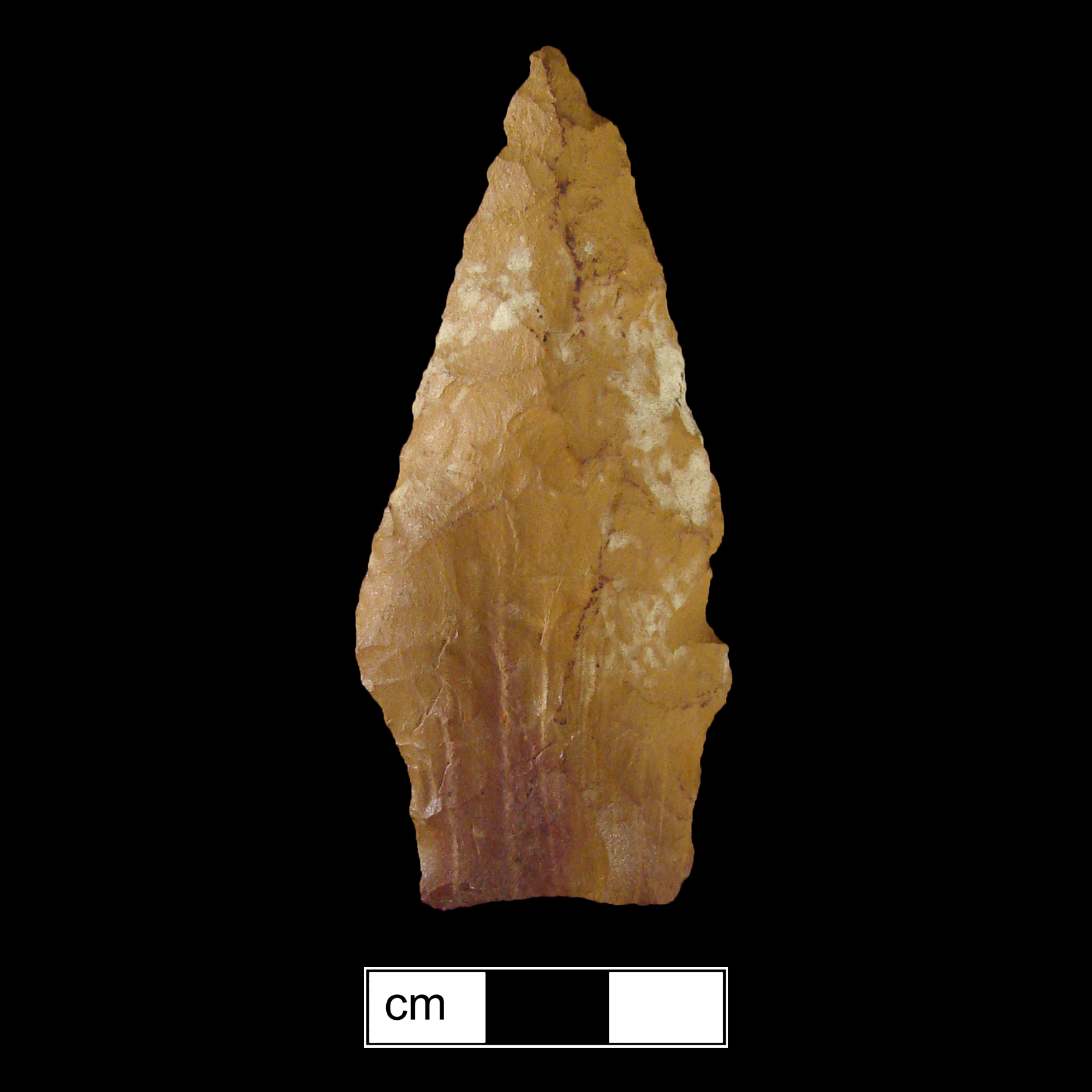 Image of stone projectile point made of Jasper, Stemmed shape, with a Contracting stem, Excurvate blade, and Concave base shape. Savannah River type.