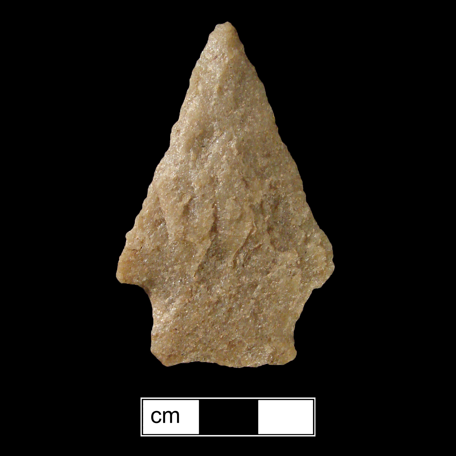 Image of stone projectile point made of Quartzite, Stemmed shape, with a Straight stem, Straight blade, and Straight base shape. Savannah River type.
