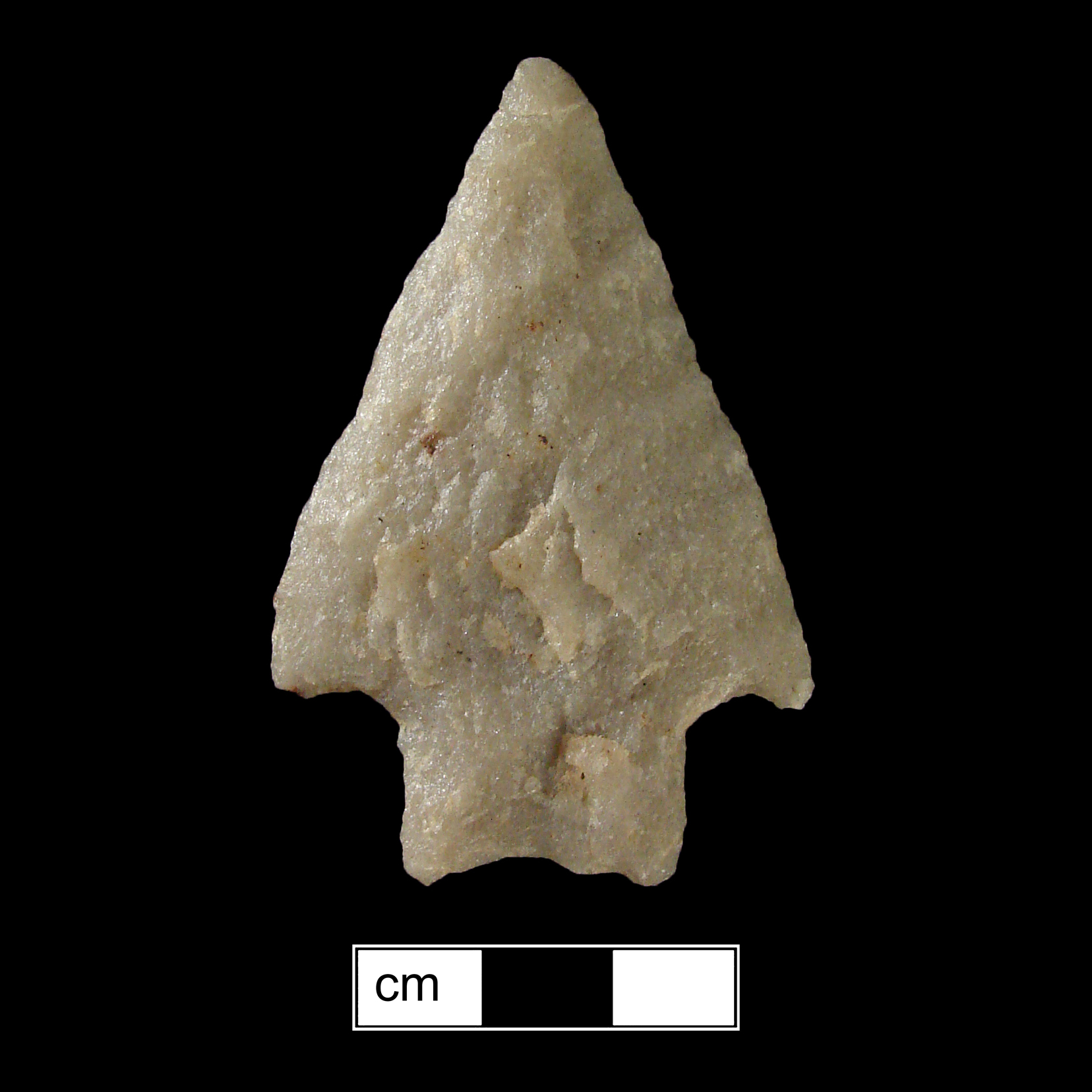 Image of stone projectile point made of Quartzite, Stemmed shape, with a Straight stem, Straight blade, and Concave base shape. Savannah River type.