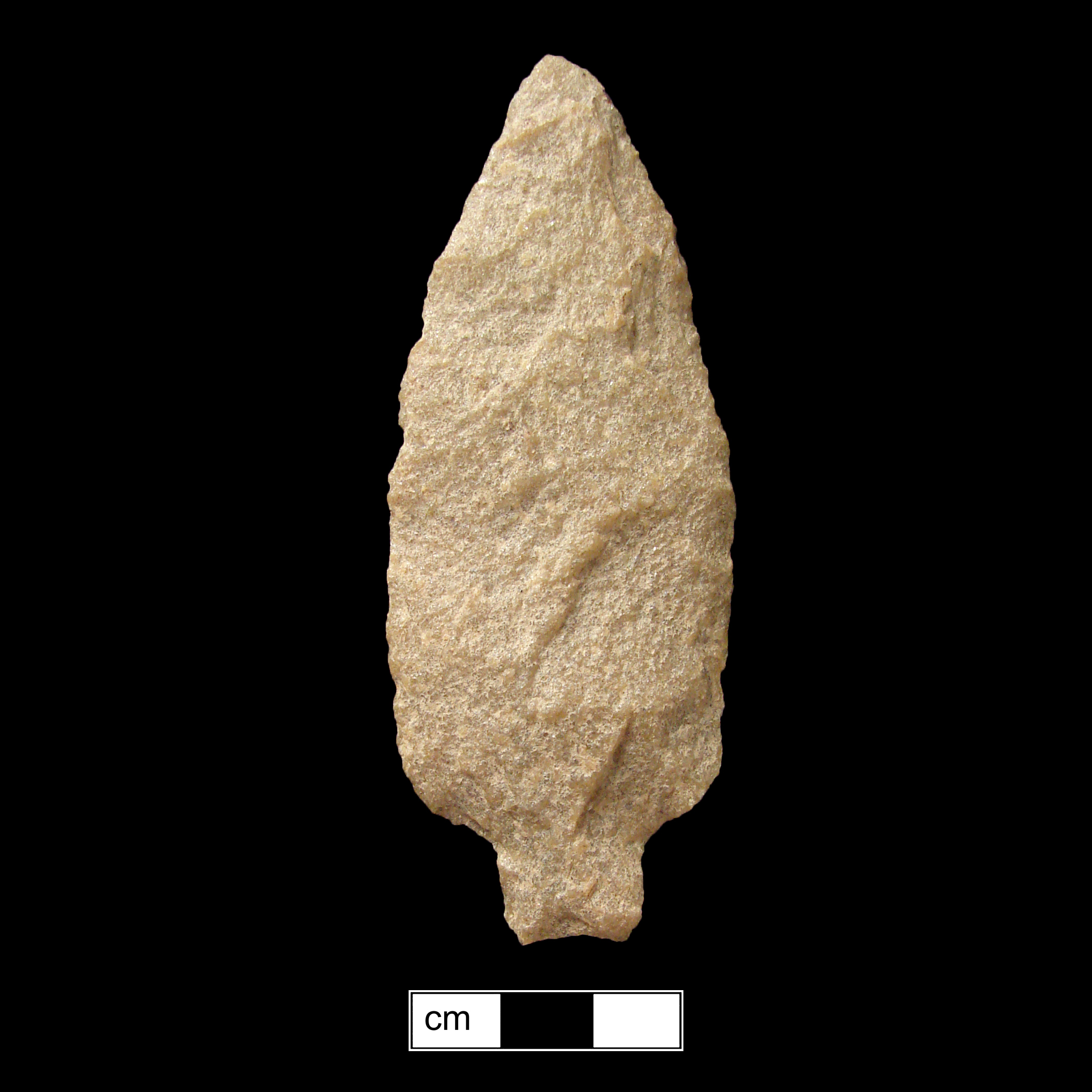 Image of stone projectile point made of Quartzite, Stemmed shape, with a Straight stem, Excurvate blade, and Concave base shape. Savannah River type.