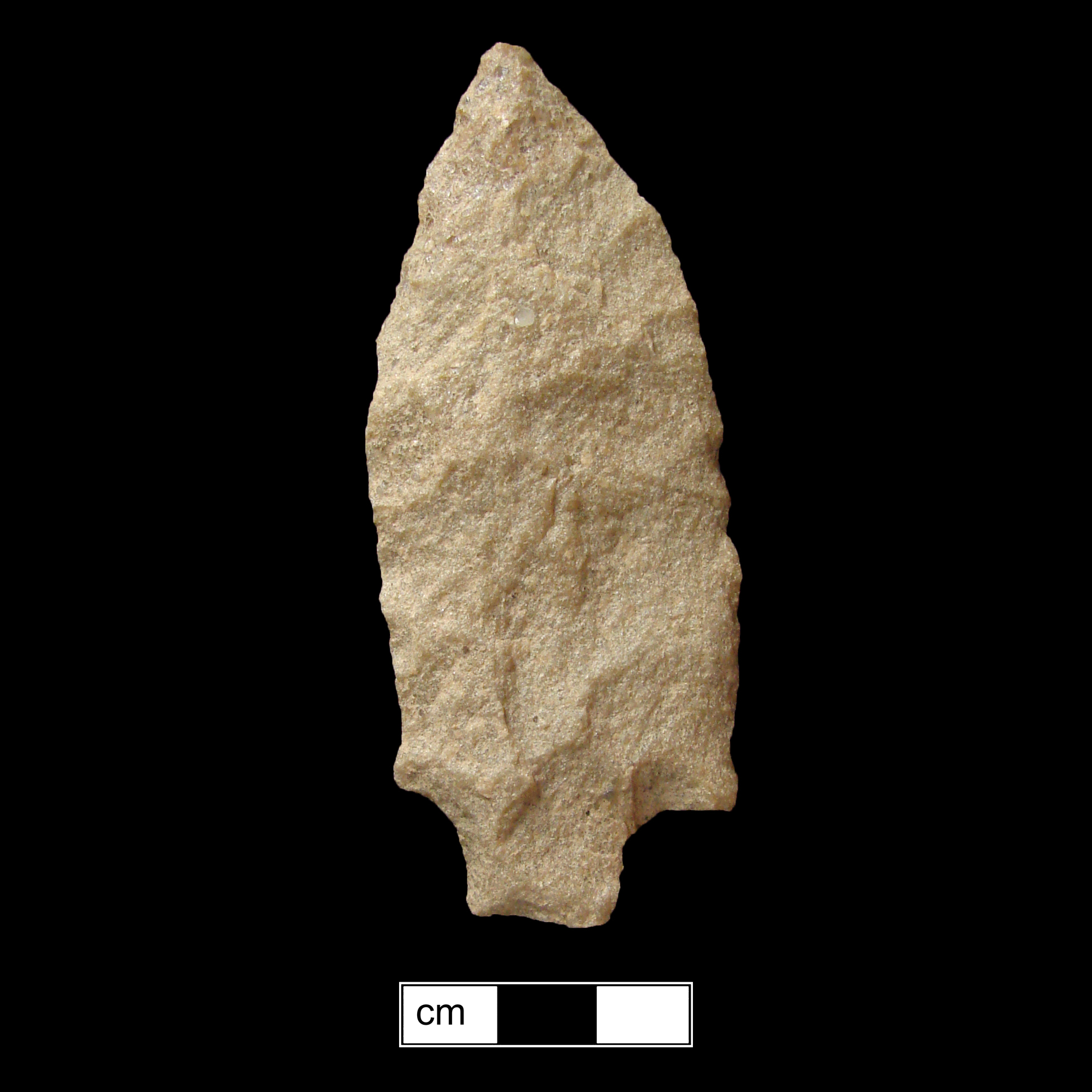 Image of stone projectile point made of Quartzite, Stemmed shape, with a Straight stem, Excurvate blade, and Straight base shape. Savannah River type.