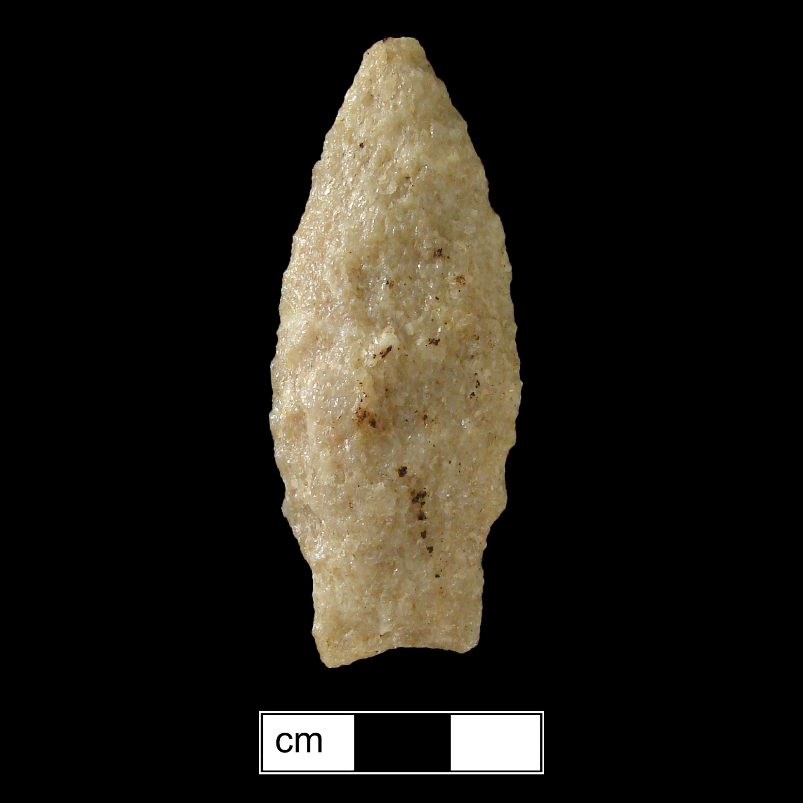 Image of stone projectile point made of Quartzite, Stemmed shape, with a Straight stem, Excurvate blade, and Concave base shape. Savannah River type.