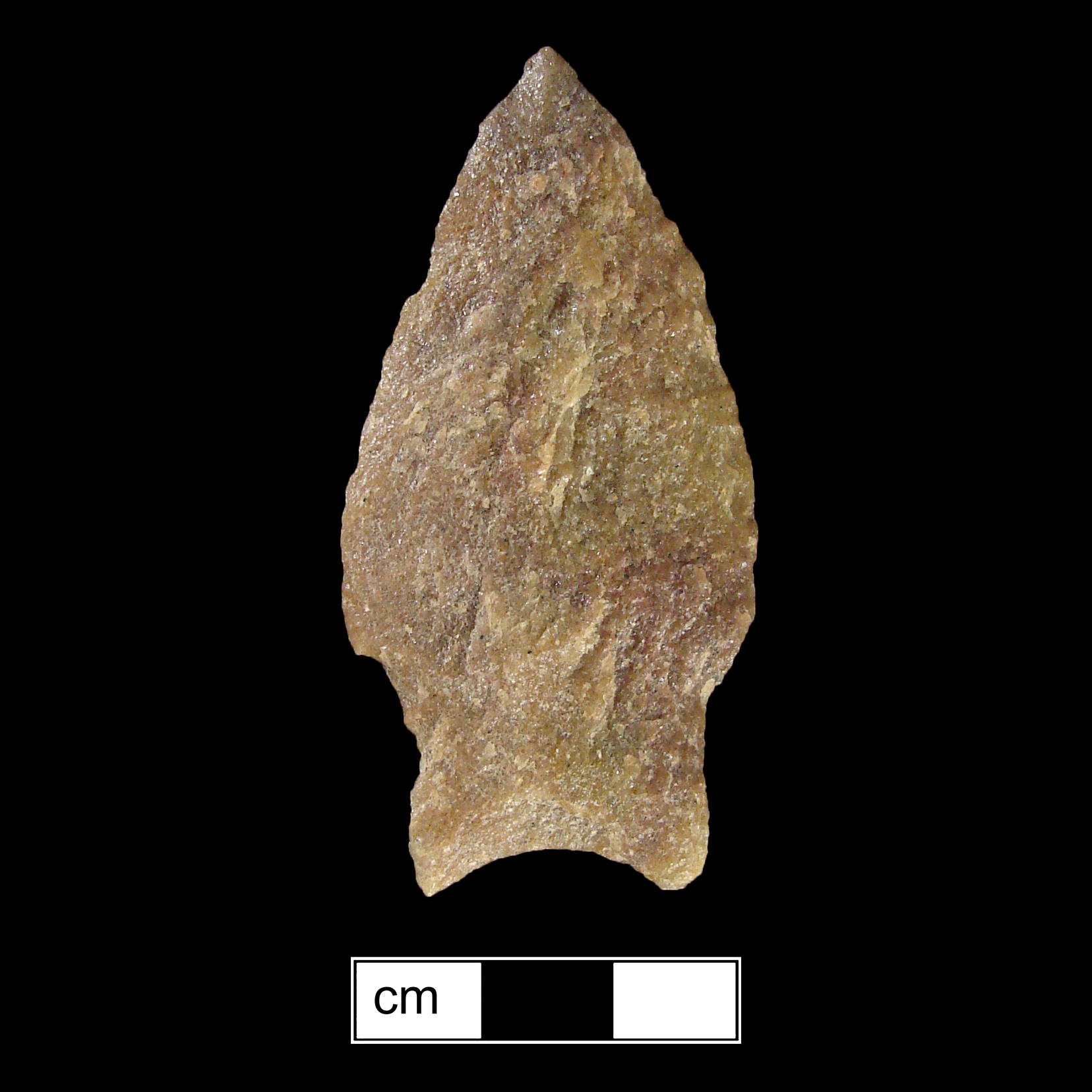 Image of stone projectile point made of Quartzite, Stemmed shape, with a Straight stem, Excurvate blade, and Concave base shape. Savannah River type.