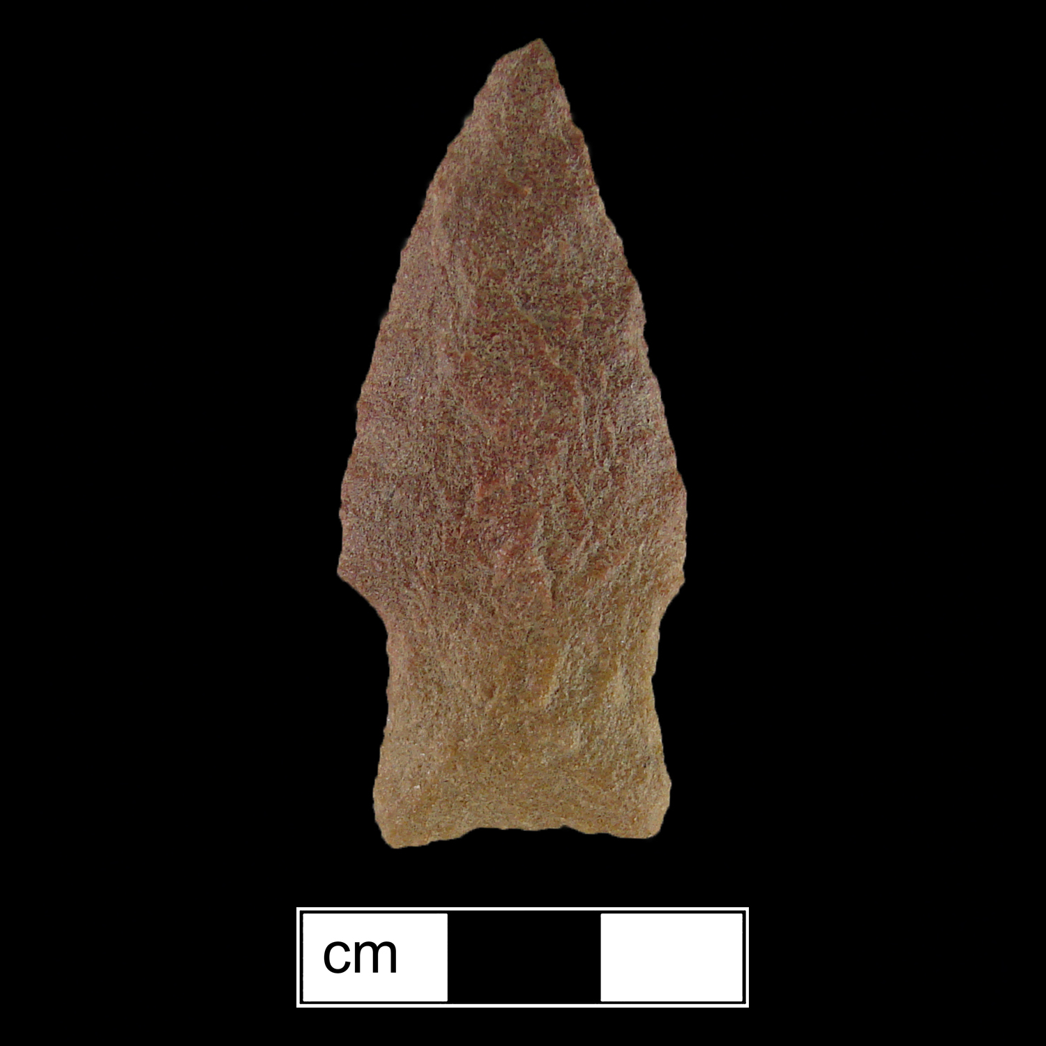 Image of stone projectile point made of Quartzite, Stemmed shape, with a Expanding stem, Excurvate blade, and Concave base shape. Savannah River type.