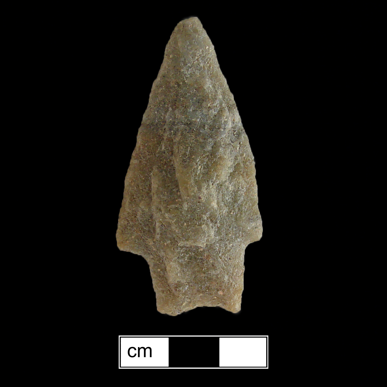 Image of stone projectile point made of Quartzite, Stemmed shape, with a Straight stem, Excurvate blade, and Concave base shape. Savannah River type.
