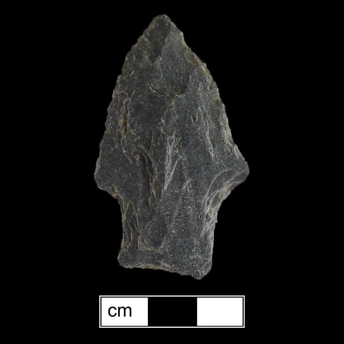 Image of stone projectile point made of Rhyolite, Stemmed shape, with a Straight stem, Excurvate blade, and Concave base shape. Savannah River type.