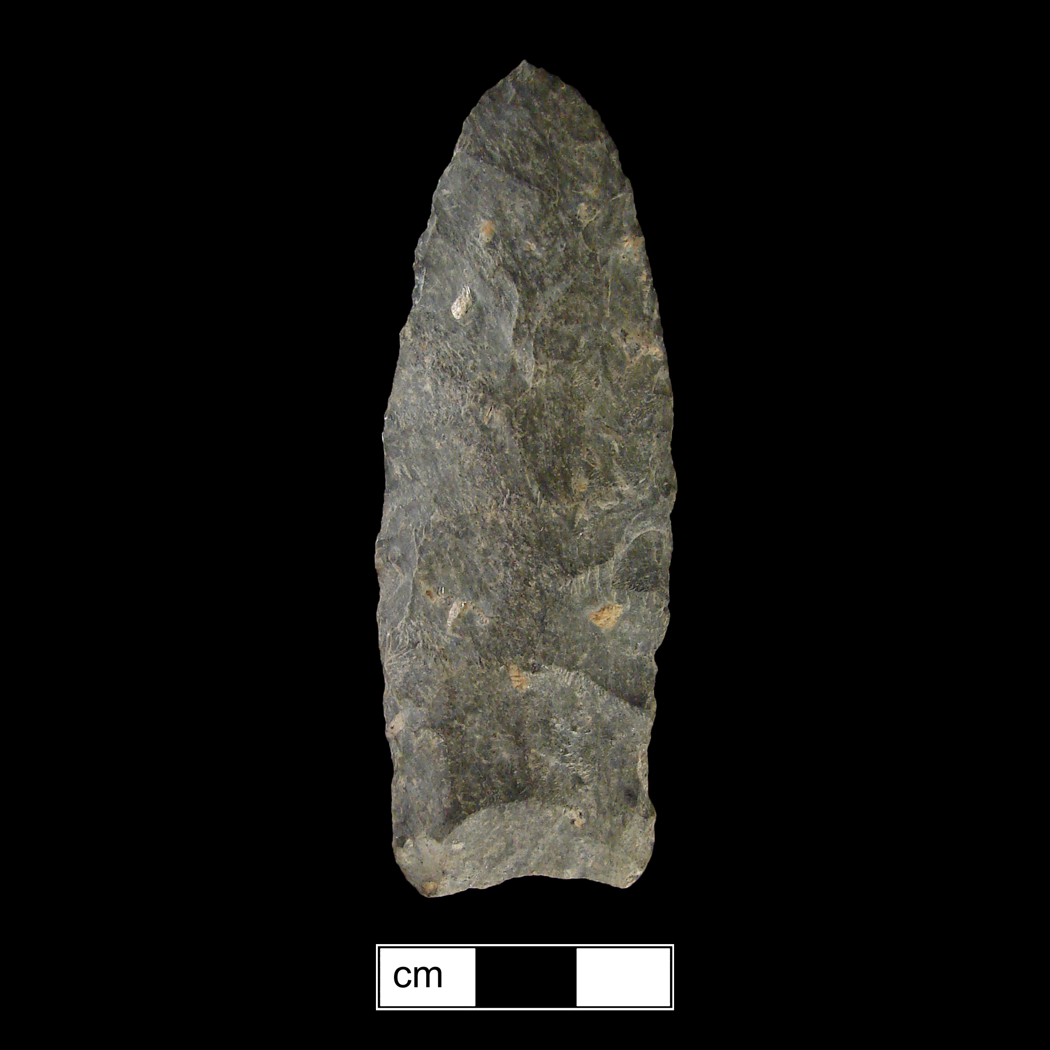 Image of stone projectile point made of Rhyolite, Lanceolate shape, with a N/A stem, Excurvate blade, and Concave base shape. Selby Bay/Fox Creek type.