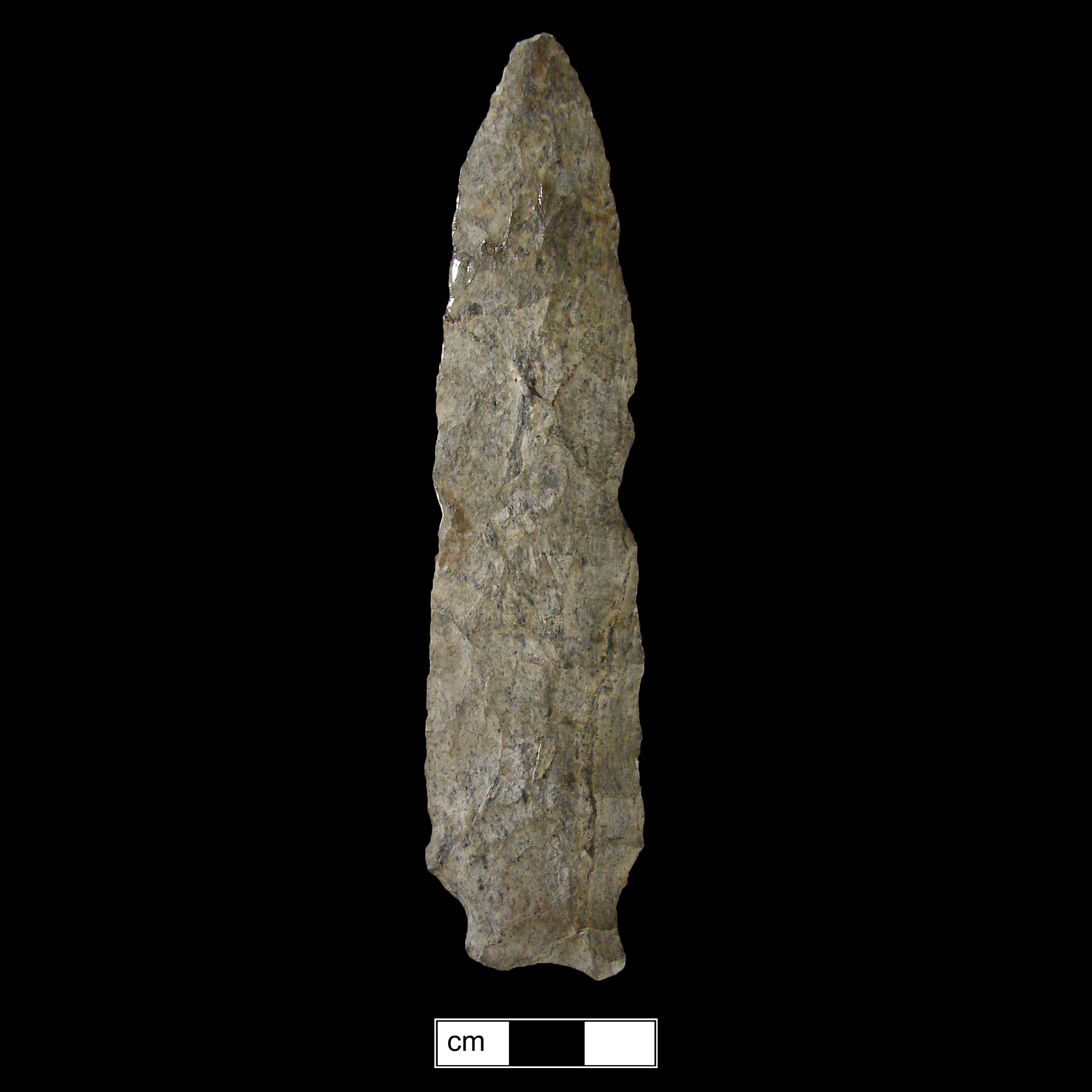 Image of stone projectile point made of Rhyolite, Stemmed shape, with a Expanding stem, Excurvate blade, and Convex base shape. Selby Bay/Fox Creek type.