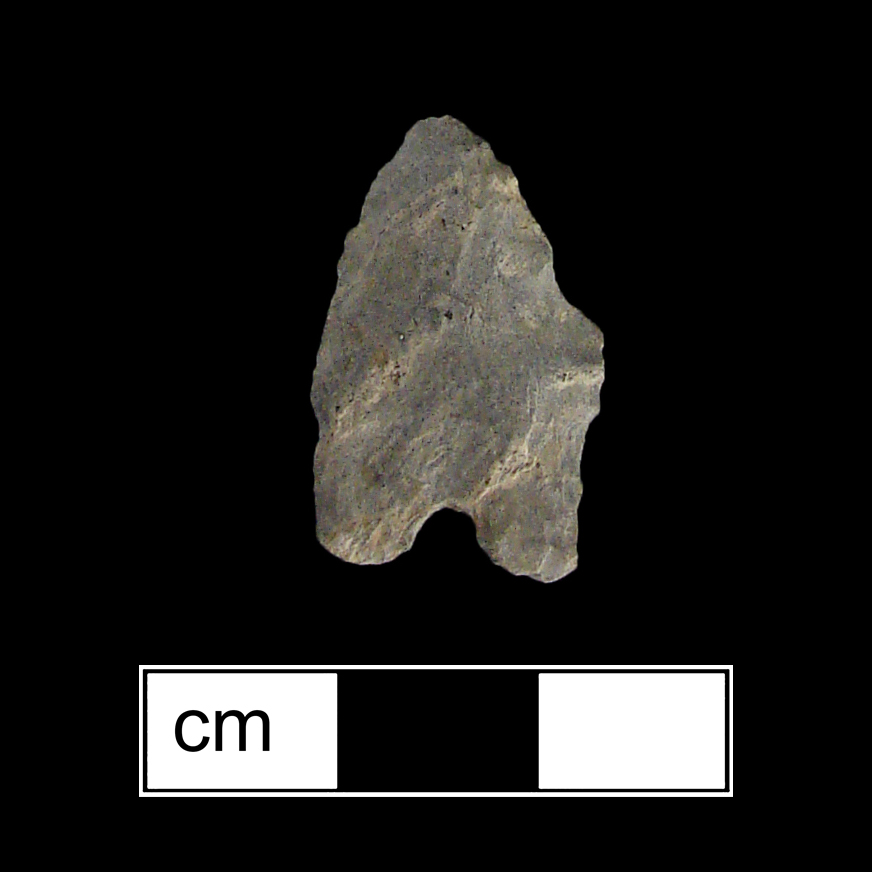 Image of stone projectile point made of Rhyolite, Bifurcate shape, with a Expanding stem, Excurvate blade, and Bifurcate base shape. St. Albans type.