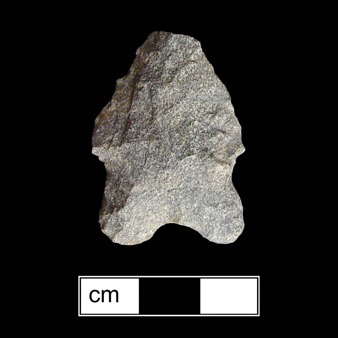 Image of stone projectile point made of Rhyolite, Bifurcate shape, with a Expanding stem, Excurvate blade, and Bifurcate base shape. St. Albans type.