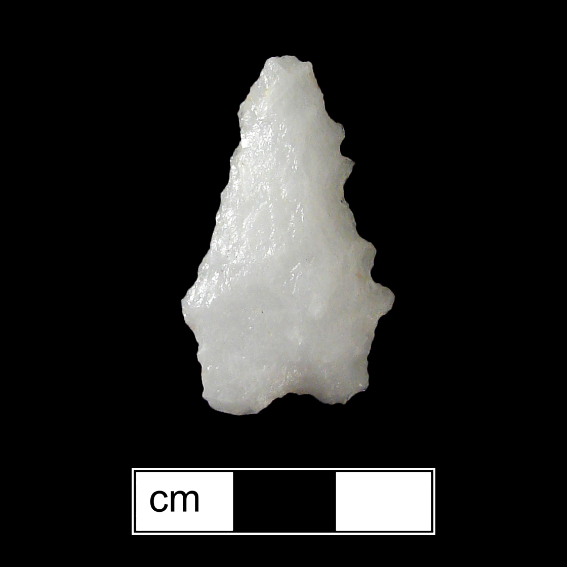 Image of stone projectile point made of Quartz, Stemmed shape, with a Straight stem, Serrated-Straight blade, and Bifurcate base shape. St. Albans type.