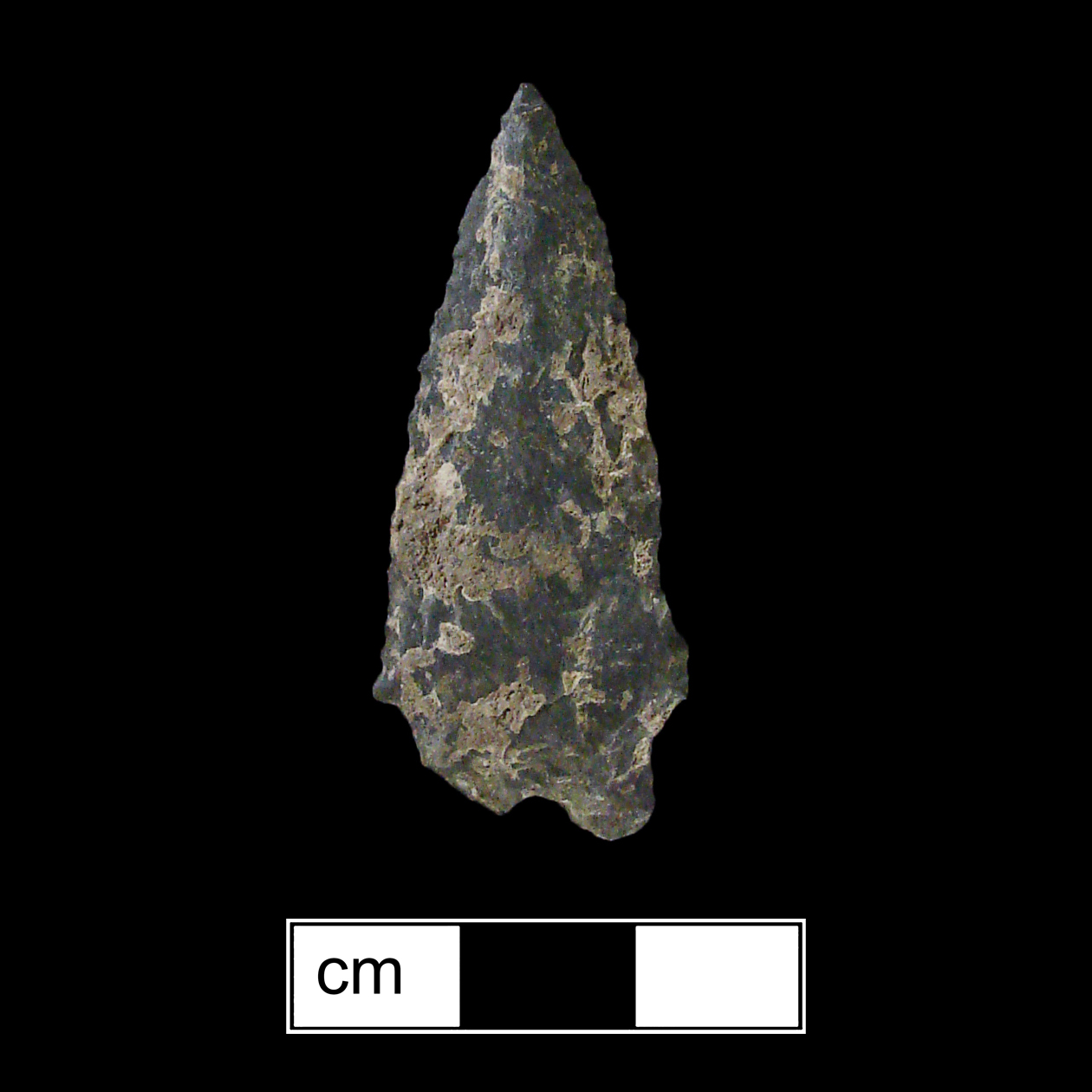 Image of stone projectile point made of Rhyolite, Stemmed shape, with a Straight stem, Serrated-Excurvate blade, and Bifurcate base shape. St. Albans type.