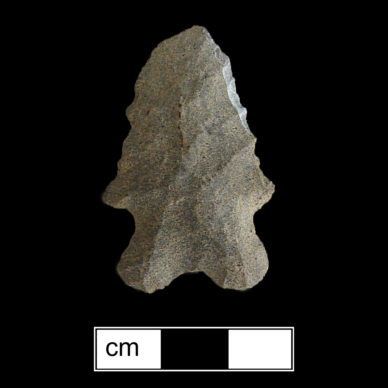Image of stone projectile point made of Rhyolite, Bifurcate shape, with a Expanding stem, Straight blade, and Bifurcate base shape. St. Albans type.