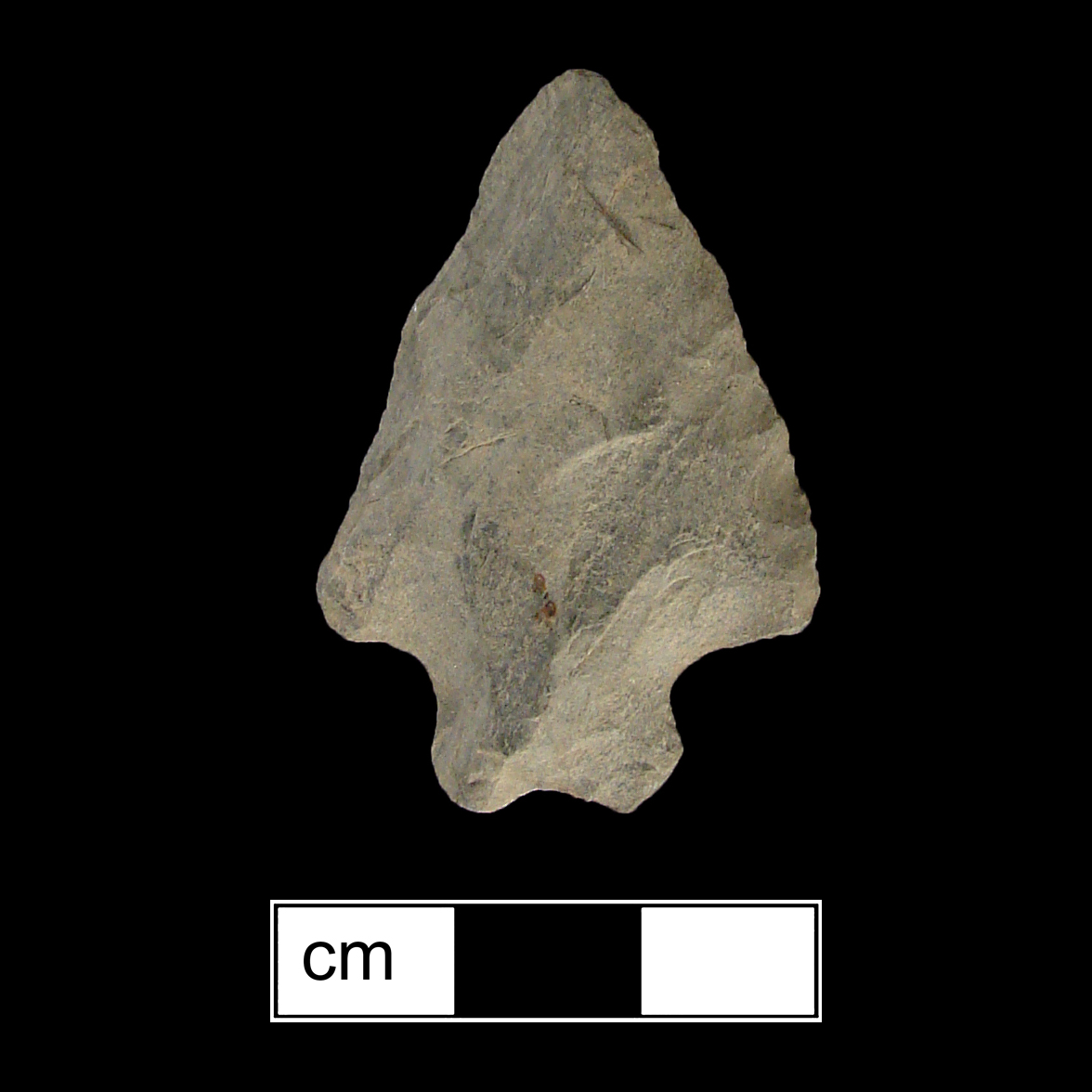 Image of stone projectile point made of Rhyolite, Bifurcate shape, with a Straight stem, Straight blade, and Bifurcate base shape. Stanly type.