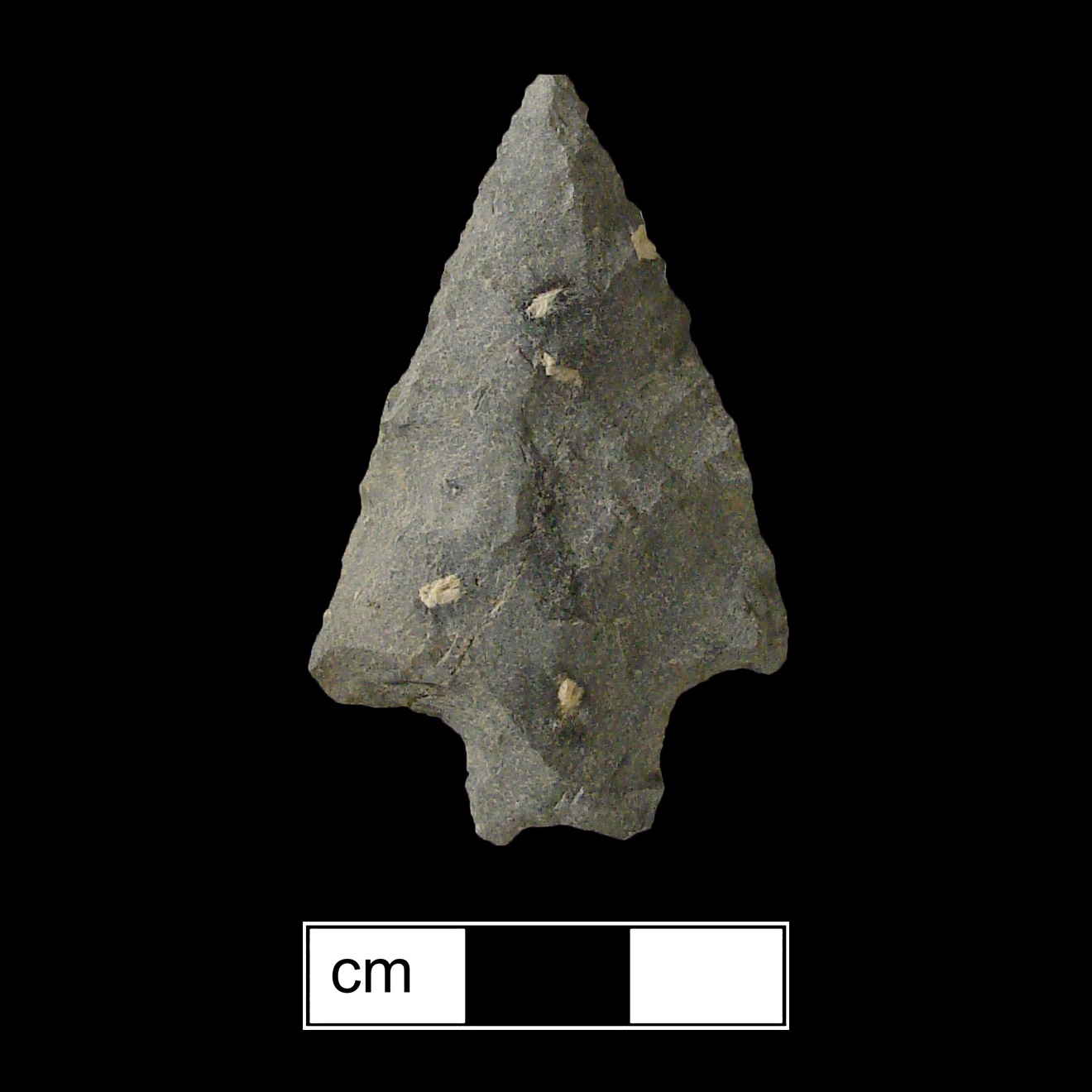 Image of stone projectile point made of Rhyolite, Bifurcate shape, with a Straight stem, Straight blade, and Bifurcate base shape. Stanly type.