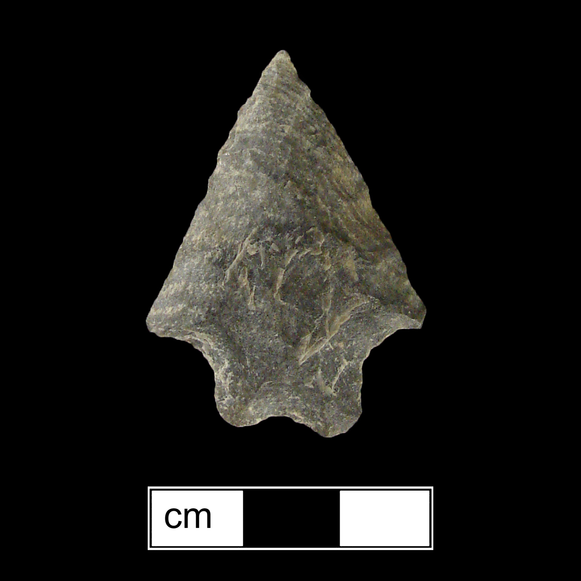 Image of stone projectile point made of Rhyolite, Bifurcate shape, with a Straight stem, Straight blade, and Bifurcate base shape. Stanly type.