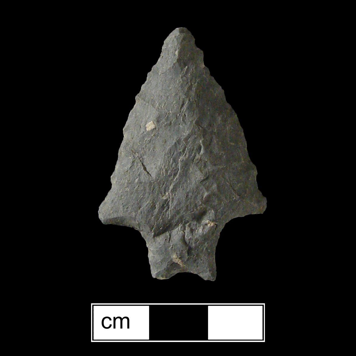 Image of stone projectile point made of Rhyolite, Bifurcate shape, with a Straight stem, Straight blade, and Bifurcate base shape. Stanly type.