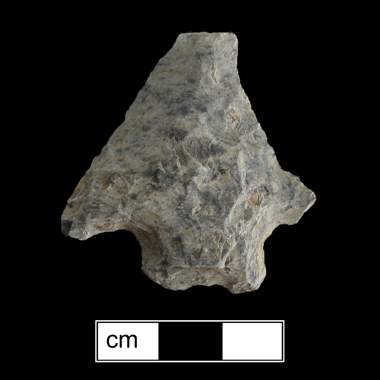 Image of stone projectile point made of Rhyolite, Bifurcate shape, with a Straight stem, Incurvate blade, and Bifurcate base shape. Stanly type.