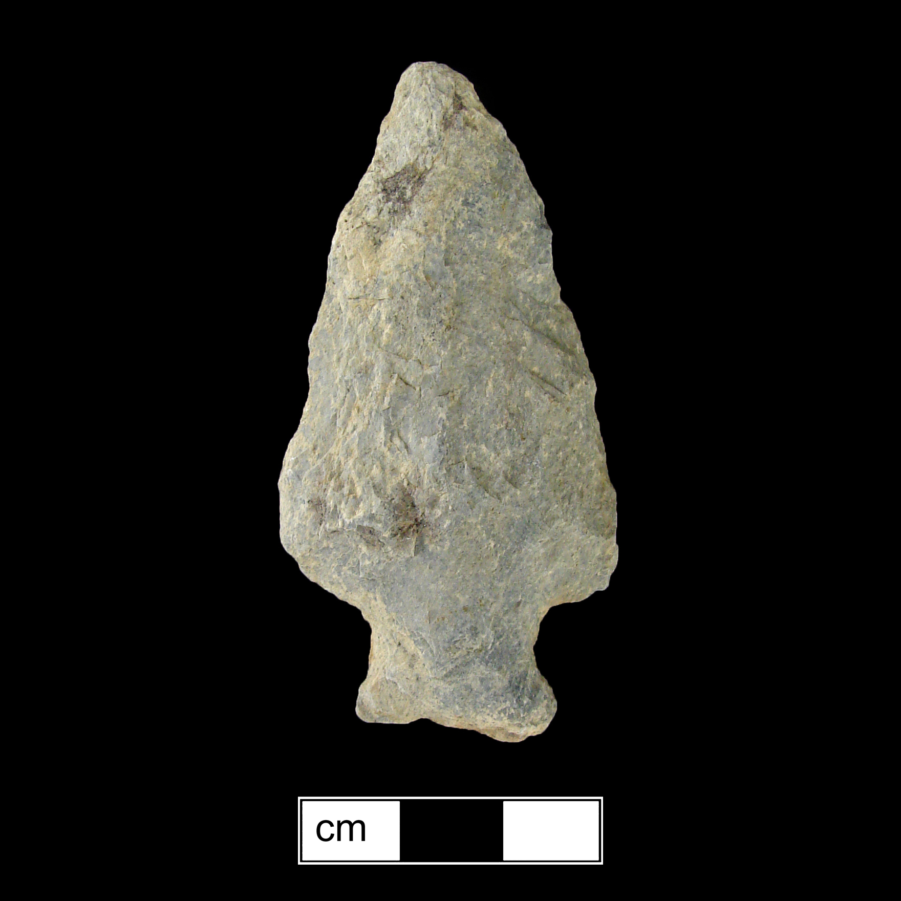 Image of stone projectile point made of Rhyolite, Stemmed shape, with a Expanding stem, Excurvate blade, and Concave base shape. Susquehanna Broadspear type.