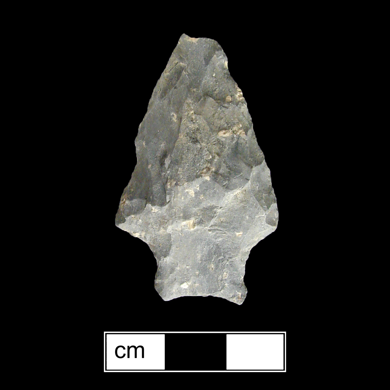 Image of stone projectile point made of Rhyolite, Stemmed shape, with a Straight stem, Straight blade, and Concave base shape. Susquehanna Broadspear type.