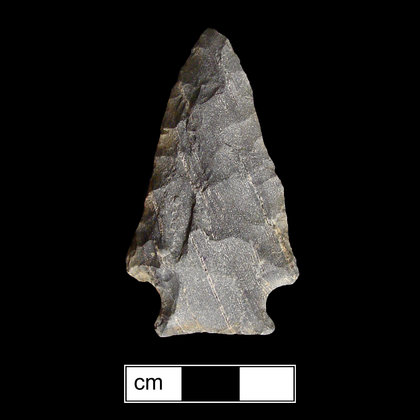 Image of stone projectile point made of Rhyolite, Stemmed shape, with a Expanding stem, Excurvate blade, and Straight base shape. Susquehanna Broadspear type.