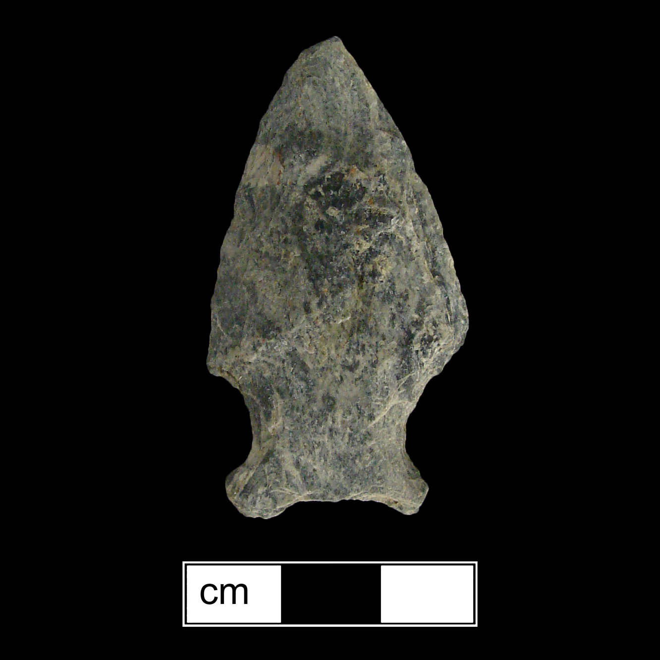 Image of stone projectile point made of Rhyolite, Stemmed shape, with a Expanding stem, Excurvate blade, and Concave base shape. Susquehanna Broadspear type.