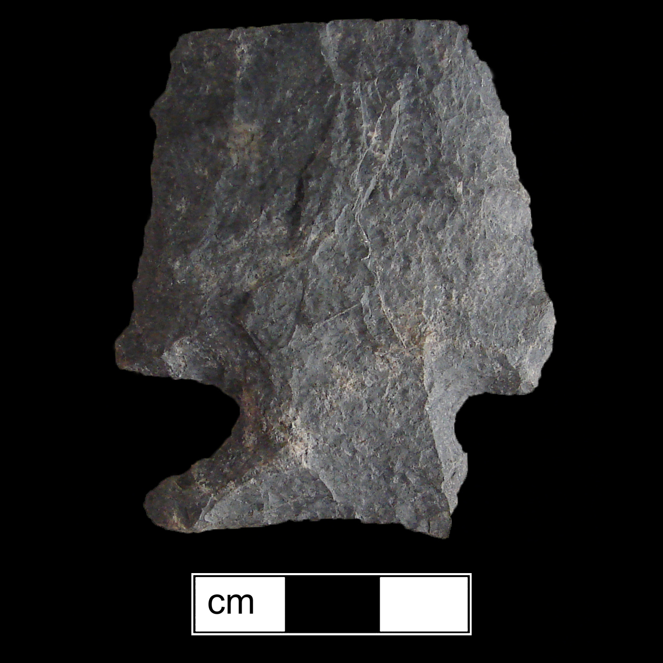 Image of stone projectile point made of Rhyolite, Stemmed shape, with a Expanding stem, Excurvate blade, and Concave base shape. Susquehanna Broadspear type.