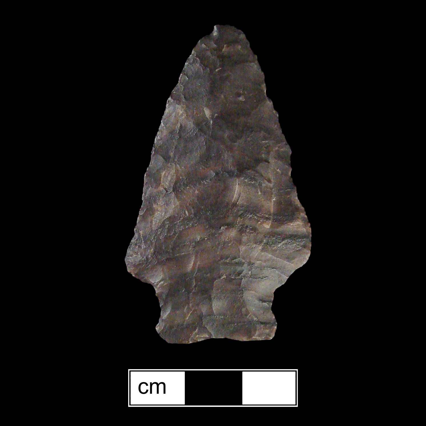 Image of stone projectile point made of Chert, Stemmed shape, with a Expanding stem, Excurvate blade, and Straight base shape. Susquehanna Broadspear type.