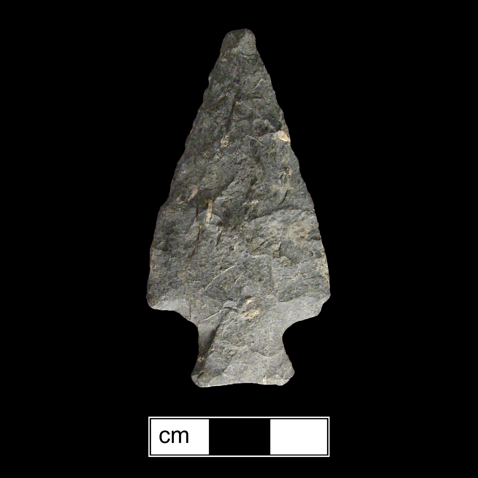 Image of stone projectile point made of Rhyolite, Stemmed shape, with a Expanding stem, Straight blade, and Concave base shape. Susquehanna Broadspear type.