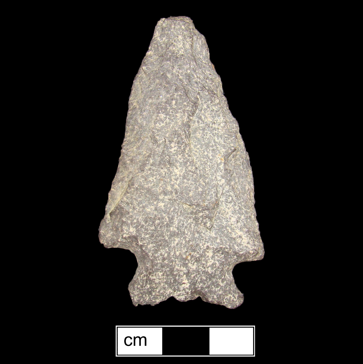 Image of stone projectile point made of Rhyolite, Stemmed shape, with a Expanding stem, Straight blade, and Concave base shape. Susquehanna Broadspear type.