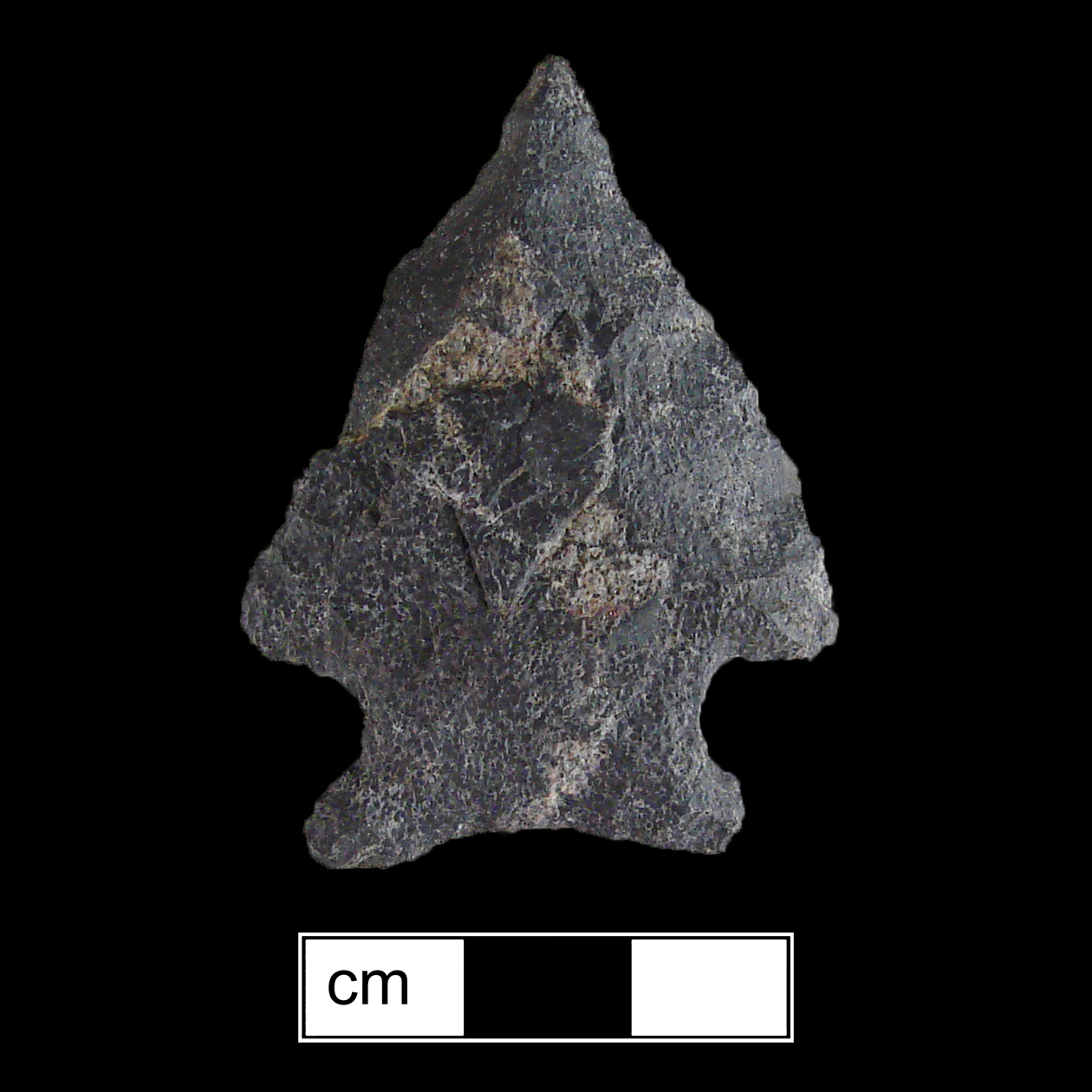 Image of stone projectile point made of Rhyolite, Stemmed shape, with a Expanding stem, Straight blade, and Concave base shape. Susquehanna Broadspear type.