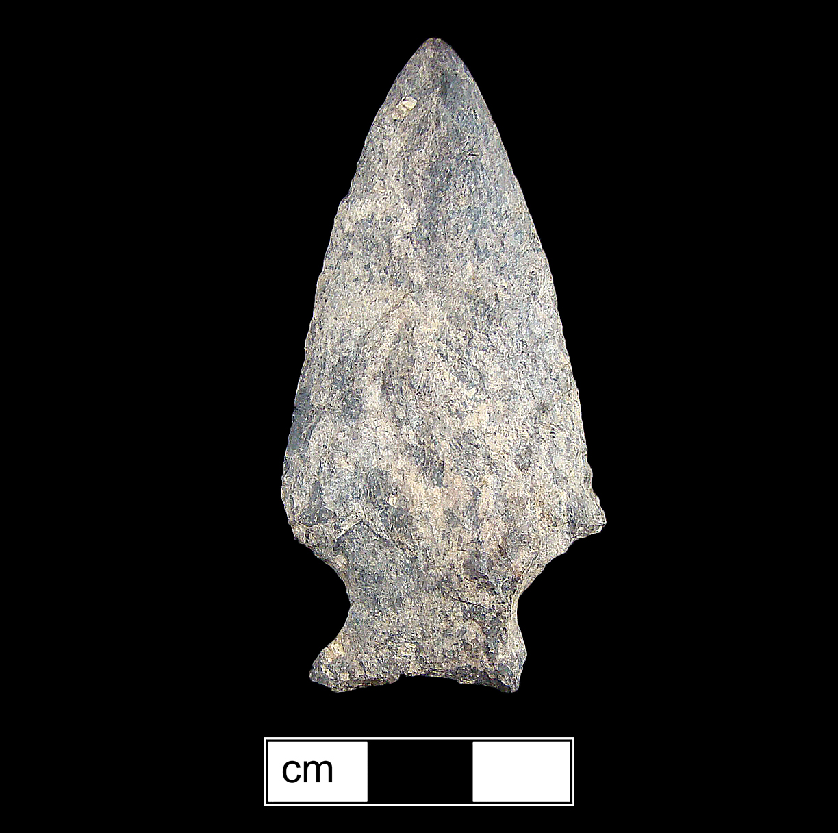 Image of stone projectile point made of Rhyolite, Stemmed shape, with a Expanding stem, Excurvate blade, and Concave base shape. Susquehanna Broadspear type.